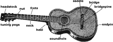 parts of a standard flattop guitar